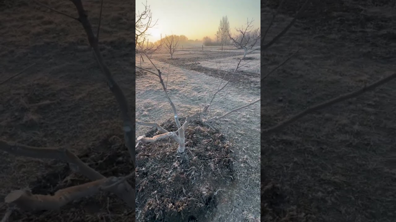 Морозний ранок в селі