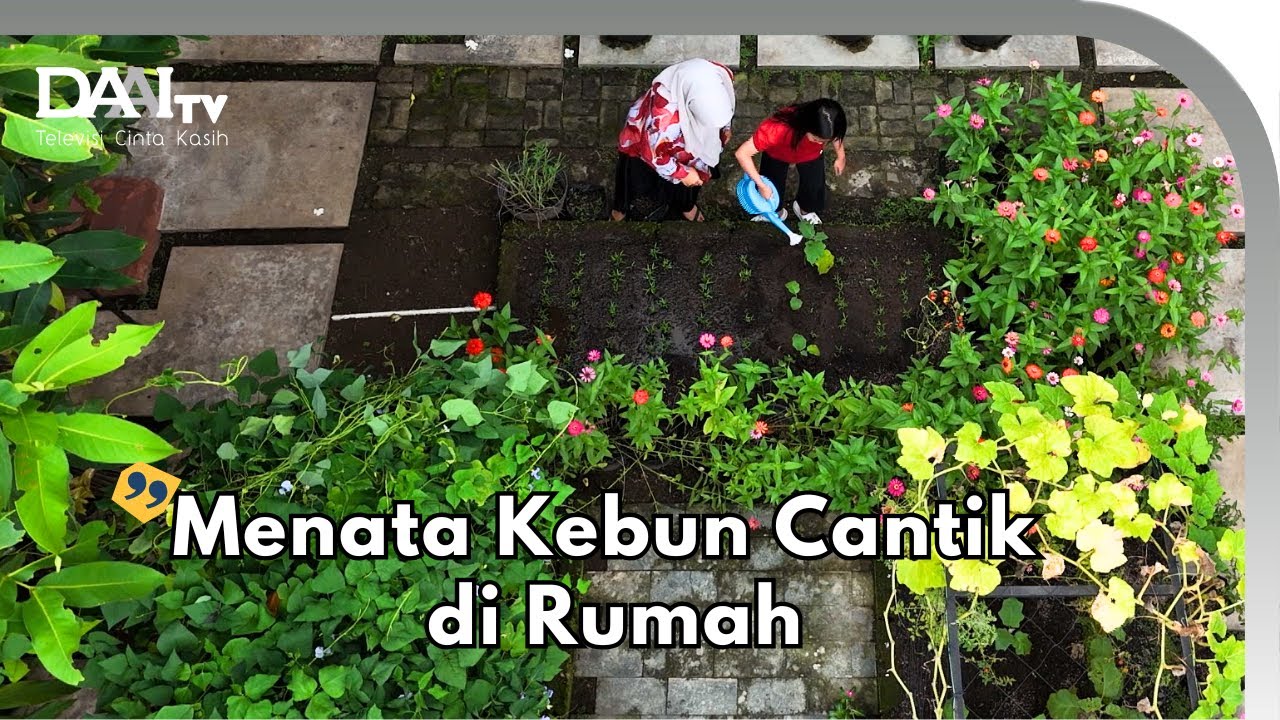 Beginilah Cara Menata Kebun Cantik di Rumah - Kin Kitchen Garden