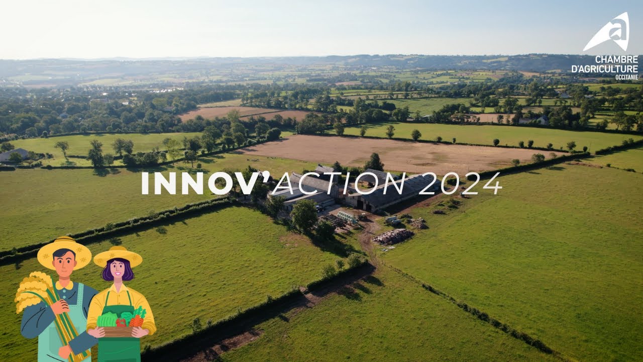 Gérer les rumex et les chardons sans chimie en polyculture-élevage - INNOV'ACTION 2024