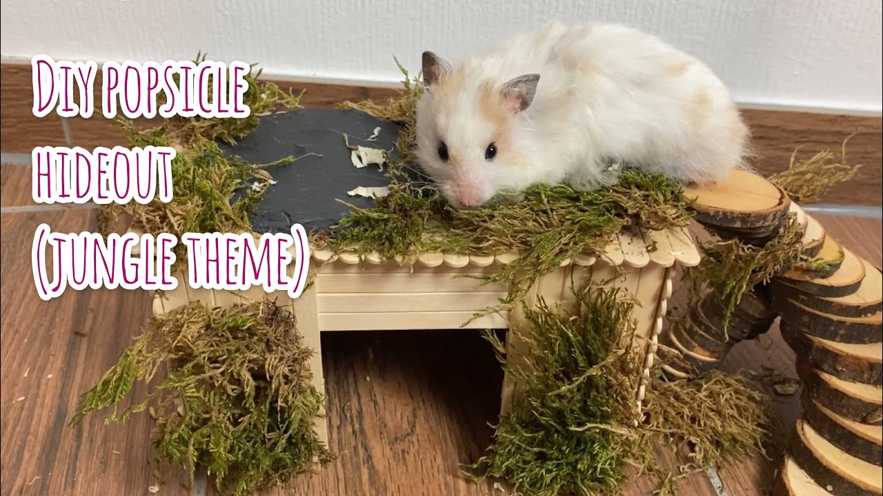 DIY POPSICLE HOUSE FOR HAMSTER (JUNGLE THEME)