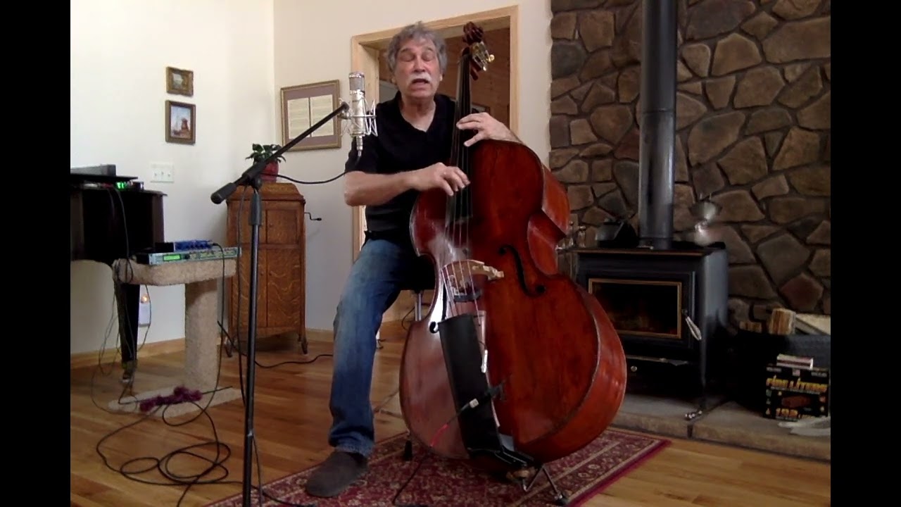 Norwegian Wood - Bill Koehler, Double Bass