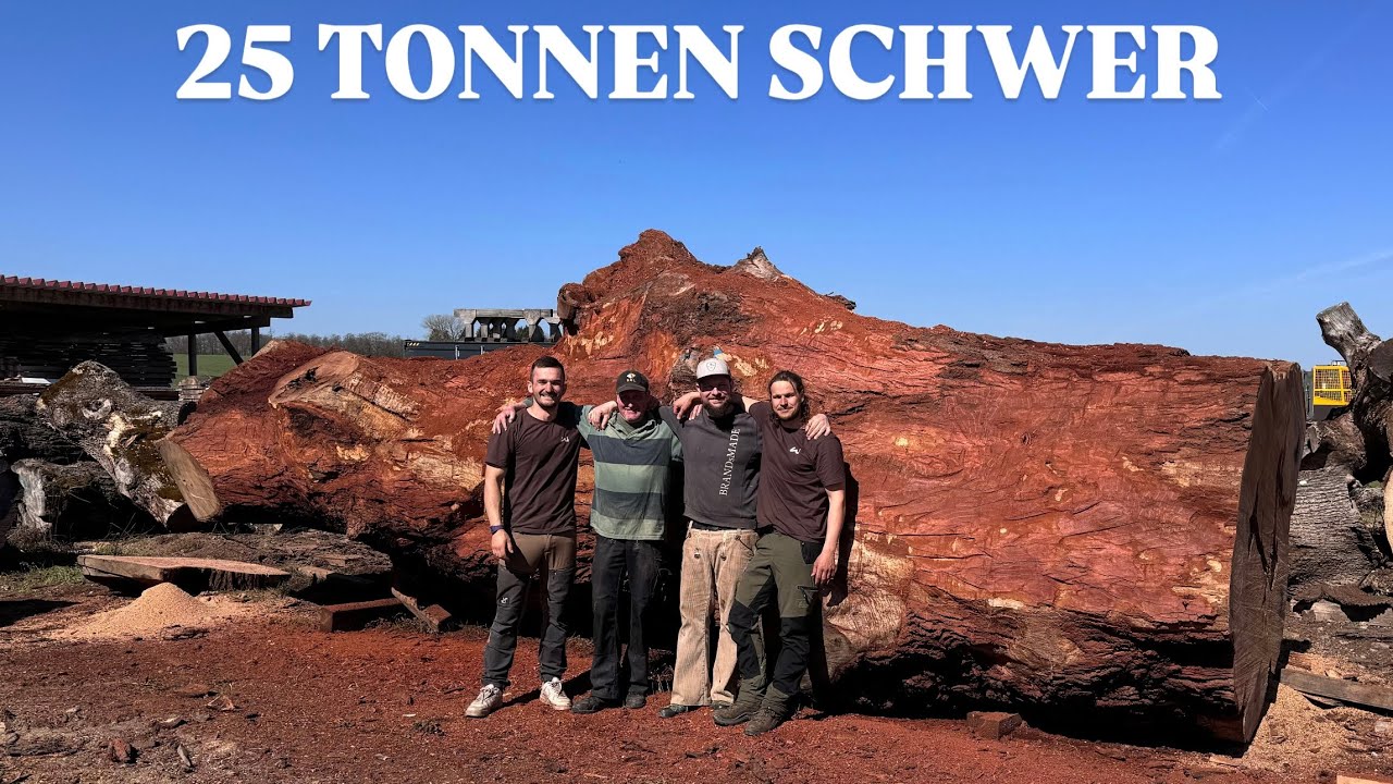 Sägeaktion *DER BROCKEN* Teil 1- Die Eiche ist voller Sand!