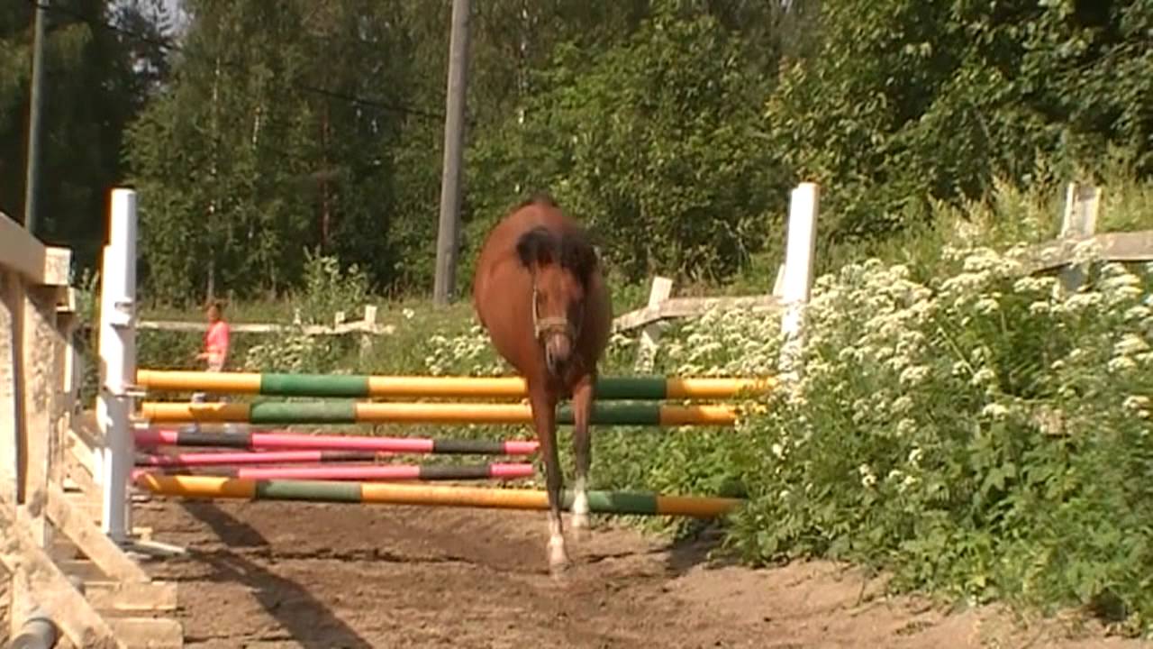 ~Heppahovi 2012~