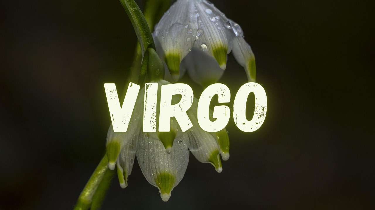 VIRGO ♍️ 🤑MARCH 2026⏳YOU MAY NEVER WORK AGAIN VIRGO‼️WELCOME TO THE SOFT LIFE💸😍 / MARCH 2026//
