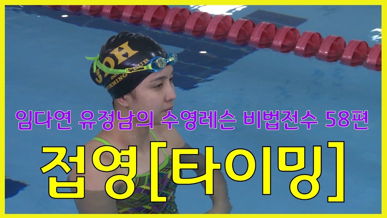 수영레슨 비법전수 58편[접영_타이밍] How to Swim Lesson