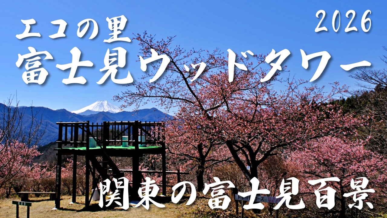 【春絶景】富士山が一番綺麗に見える場所🗻エコの里「富士見ウッドタワー」からの絶景｜Fujimi Wood Tower