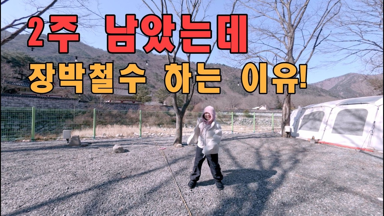 벌써 장박 끝내는 이유 | 삼고초려만에 가게된 식당 | 그리고 루미의 클로징 댄스 | 스노우피크 랜드락M | insta360 Ace Pro2