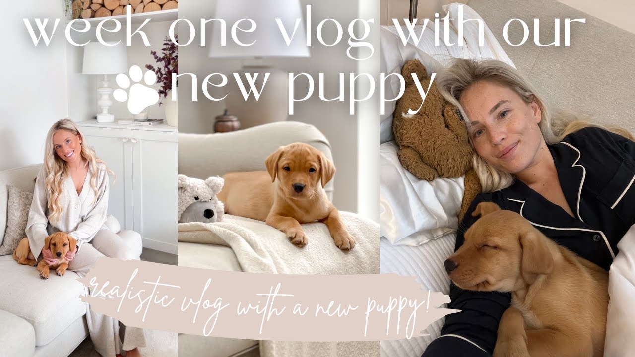 FIRST WEEK OF HAVING A PUPPY VLOG! Meet Simba our 10 week old Red Fox Labrador