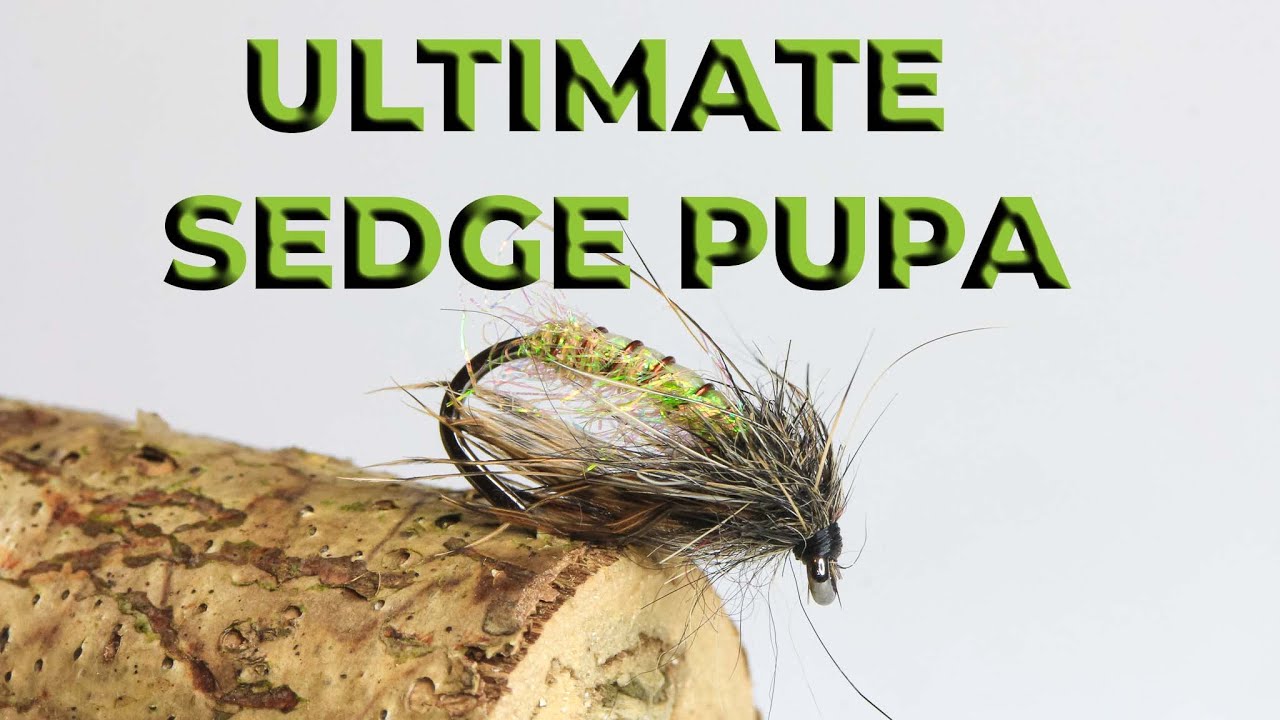 FLIES THAT CATCH FISH Tying The ULTIMATE Sedge Pupa