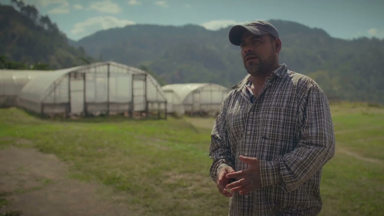 Proyecto: Historias del café – finca seleccionada por Starbucks
