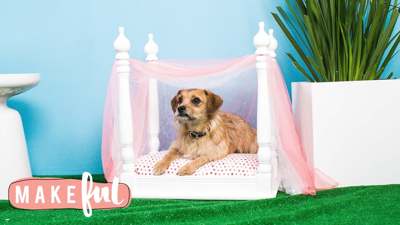 DIY Princess Canopy Pet Bed | Pet Projects