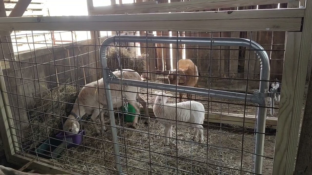 The old crooked barn is changing!