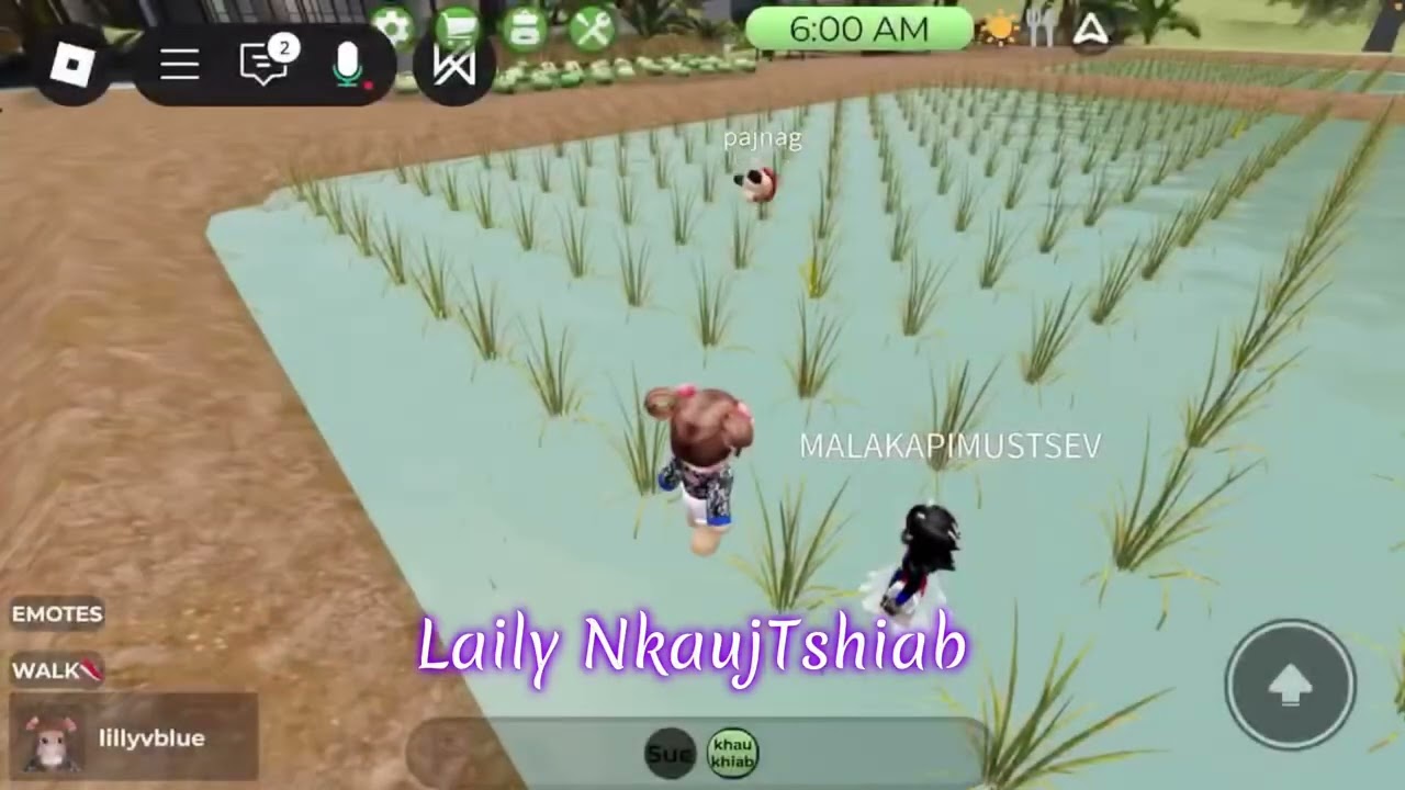 Sib Thawb Ua Si Huav Hmong Life RP! 