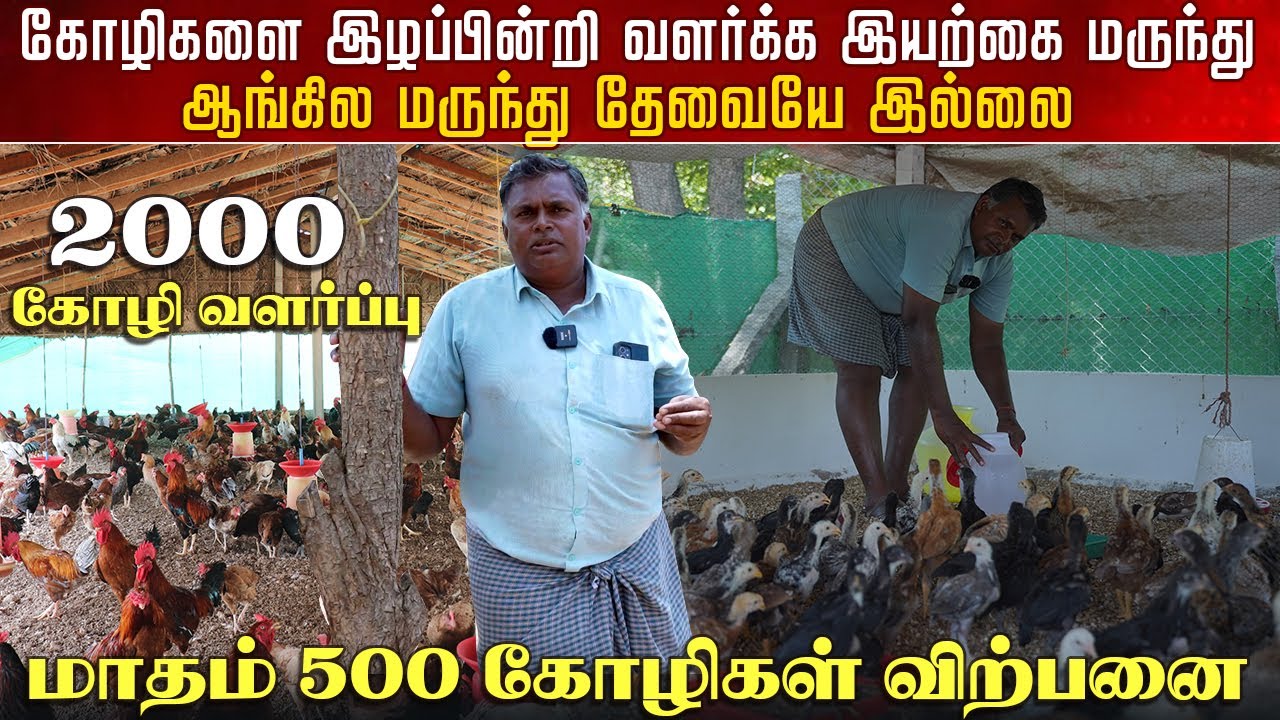 கோழிகளை இழப்பின்றி வளர்க்க இயற்கை முறையில் தீர்வு | நாட்டுக்கோழி வளர்ப்பு #HEM.1