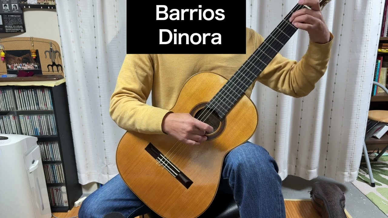 A.Barrios ／Dinora