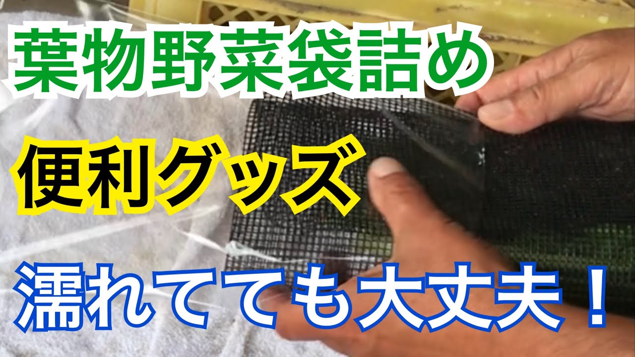 便利グッズ・野菜の袋詰めが超楽に！濡れてても大丈夫😄