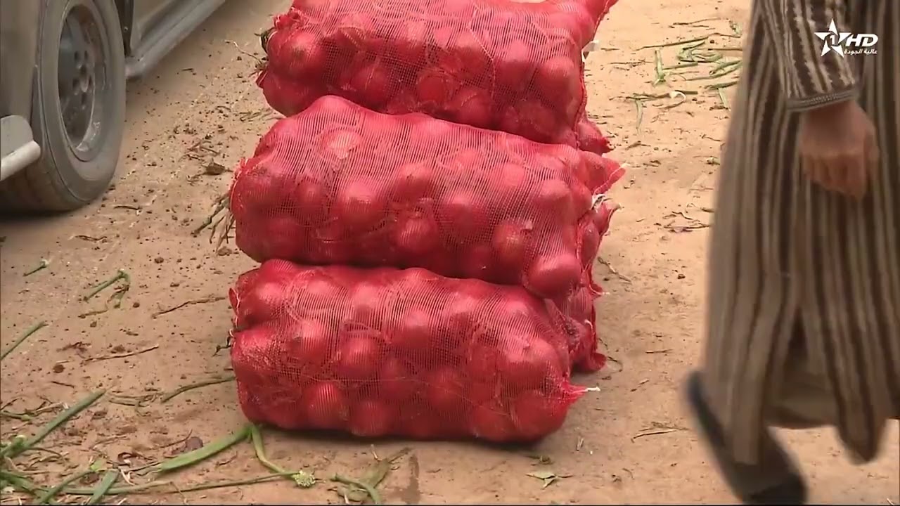 أسواق الخضر والفواكه : ارتفاع سعر مادة البصل يطرح تساؤلات حول وفرة العرض وتدخل الوسطاء والمضاربين