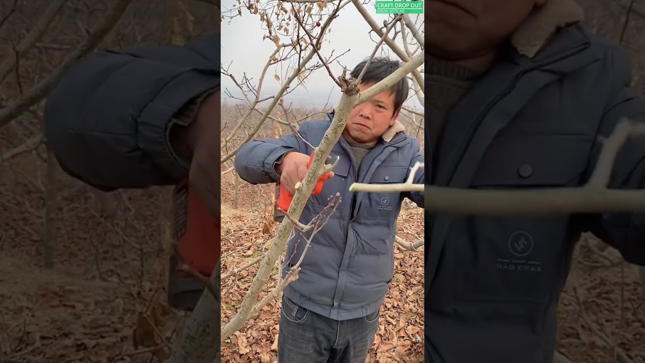 🔋✂️ Electric Pruning Shears Cutting Tree Branch