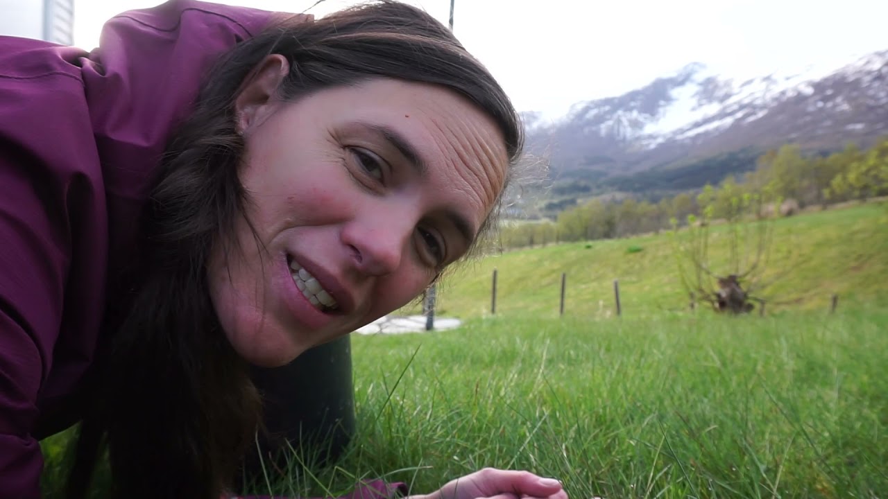 #vlog 14 ochtendroutine op de boerderij in Noorwegen