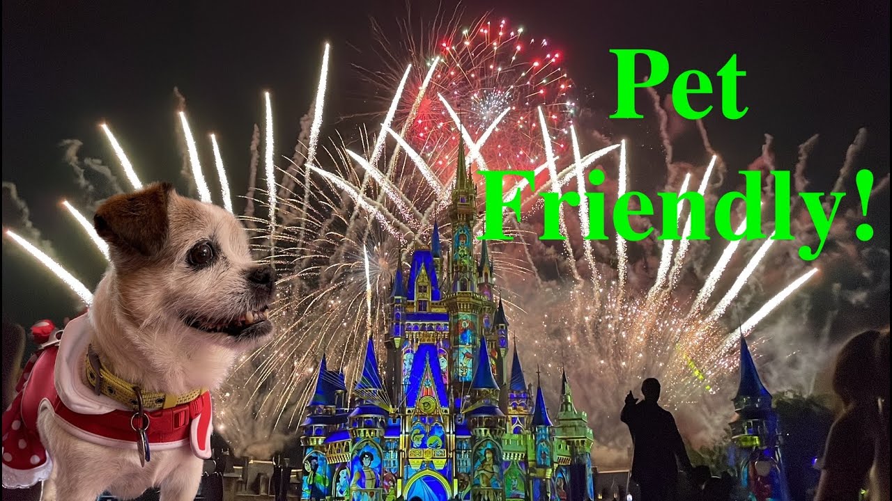 Pet Friendly Walt Disney World - Everything You Need to Know! 