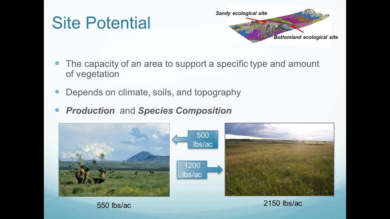 Ecological Sites