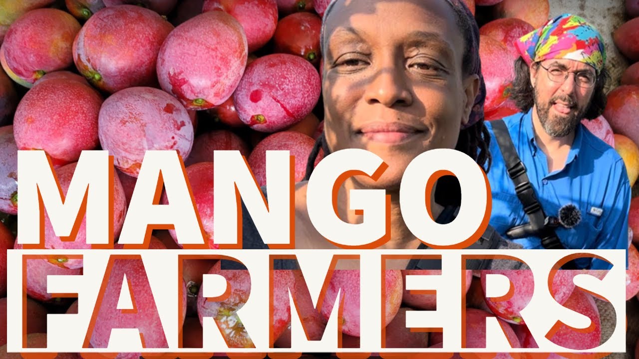 We Were Mango Farmers For A Day In Taiwan-  Irwin Mangos Yujing Tainan With @NOCRYTaiwan