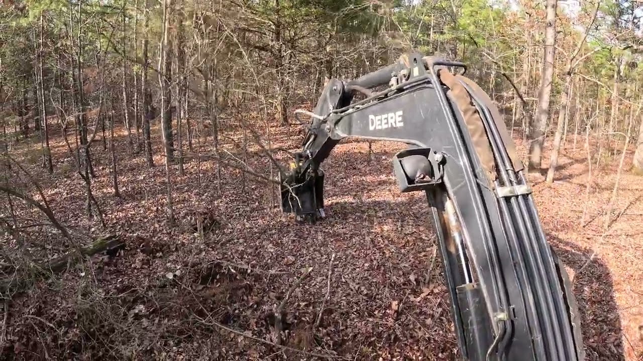 35G clearing saplings and Rut Mini Mulcher