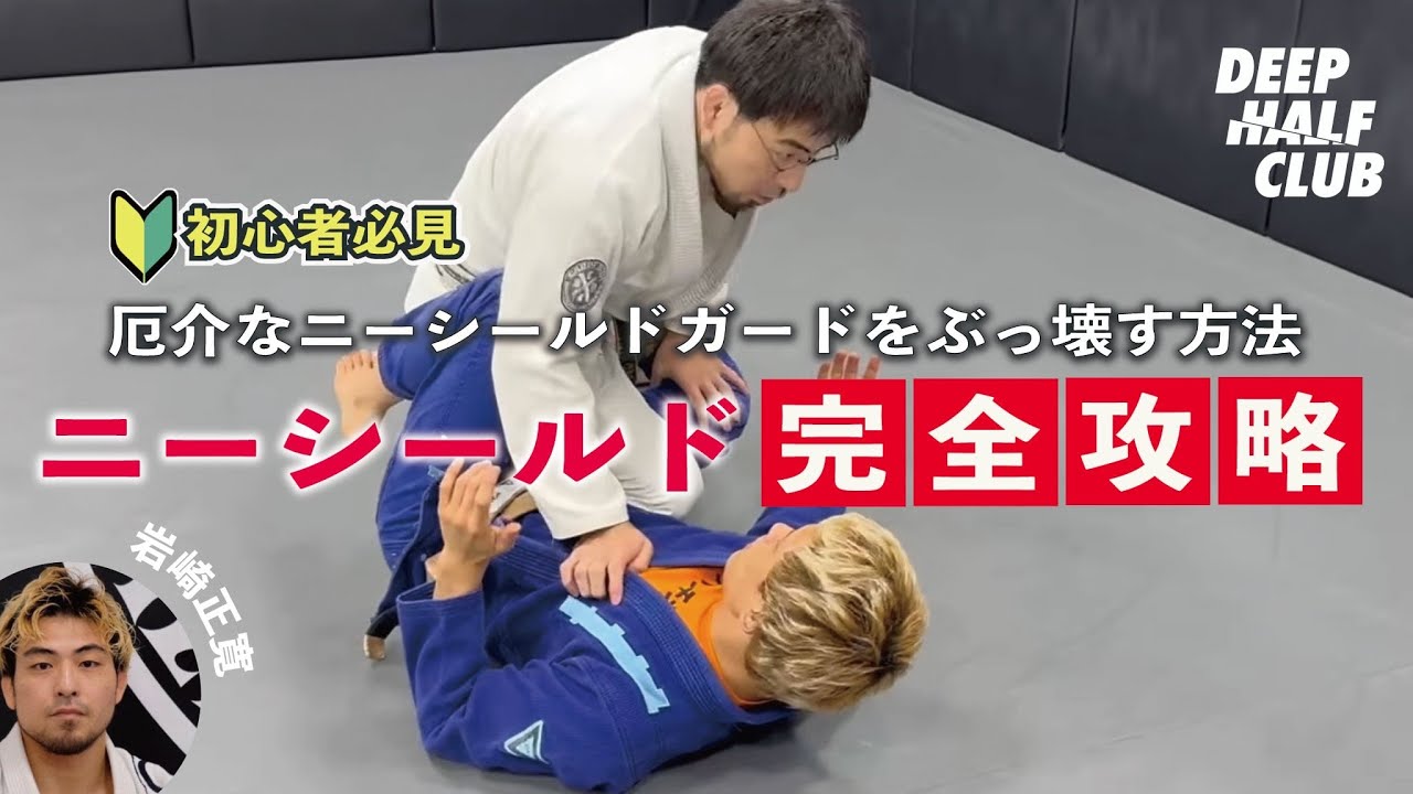 厄介なニーシールドガードをぶっ壊す方法を解説した！