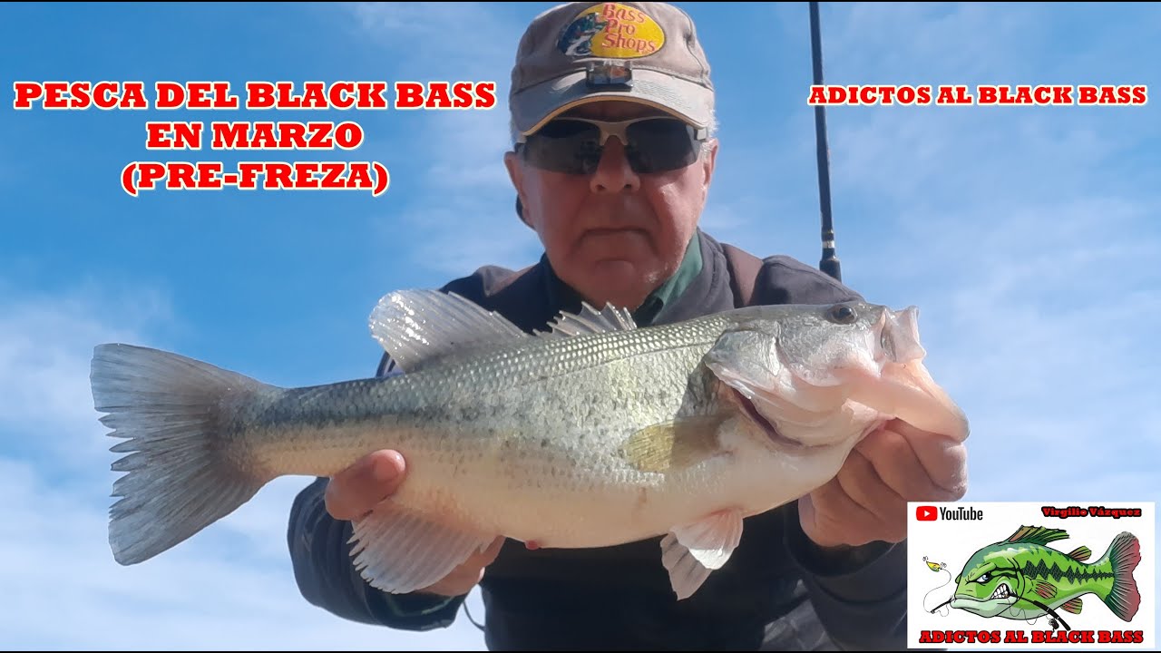 PESCA DEL BLACK BASS EN MARZO (PRE-FREZA)