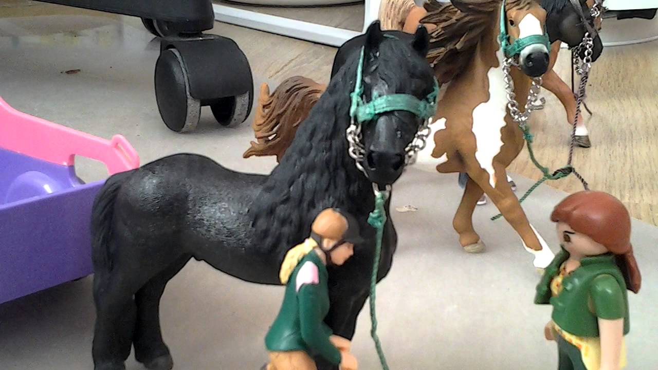 Schleichpaarden serie Sterrenpaard deel 1