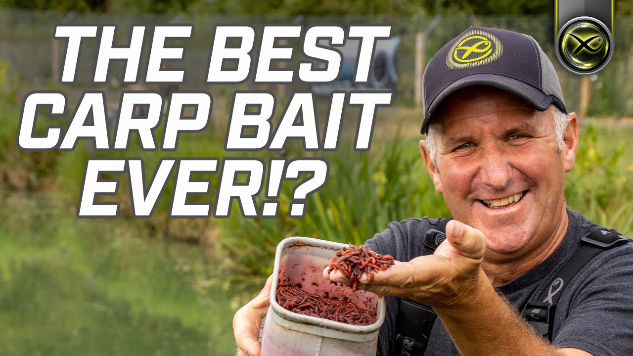 CATCH MORE ON DEAD MAGGOTS! | Mark Pollard's No1 Carp Bait!