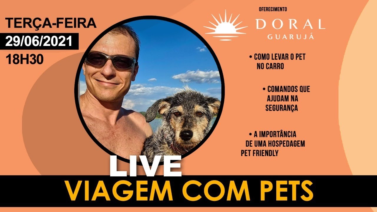 VIAGEM COM PETS