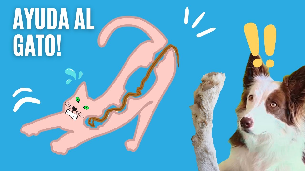 ¡SÁCALE EL GUSANO AL GATO! 😱 Video Juego de ayudar / Mel Gamer