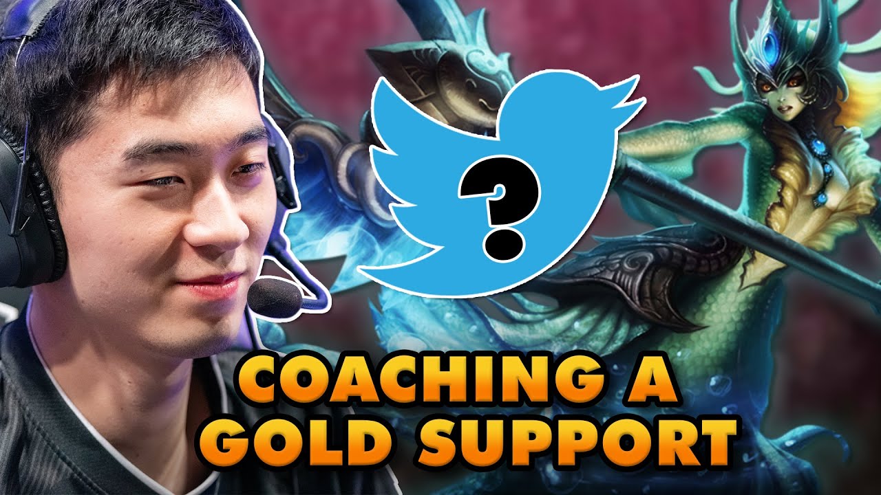 Biofrost - Pro Player Coaches a Gold Support!