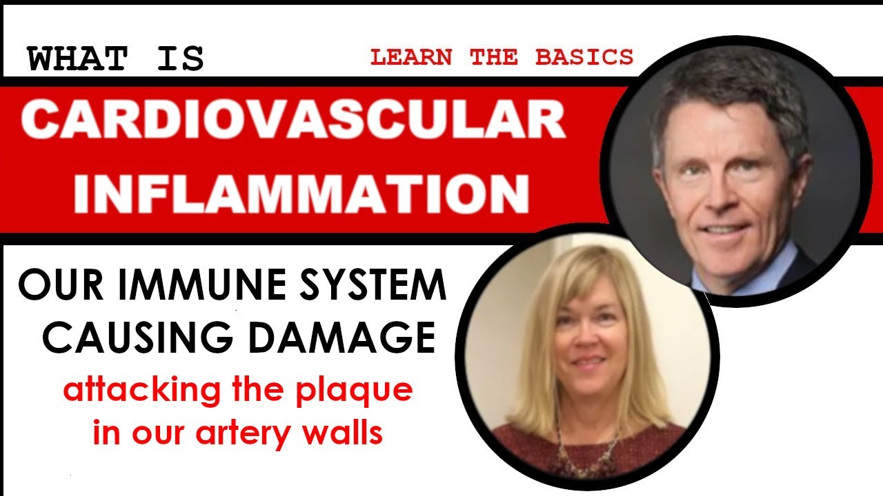What's Cardiovascular Inflammation? Introductory Conversation