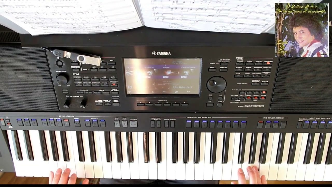 O malhao O malhao - Yamaha SX-900 - HD