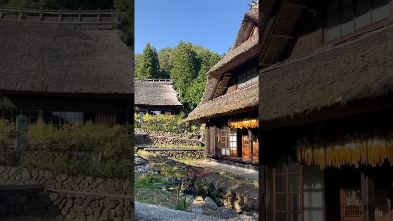 Traditional Japanese Village (Saiko Iyashi no Sato Nenba) #japan  #trending #saikoiyashinosatonenba