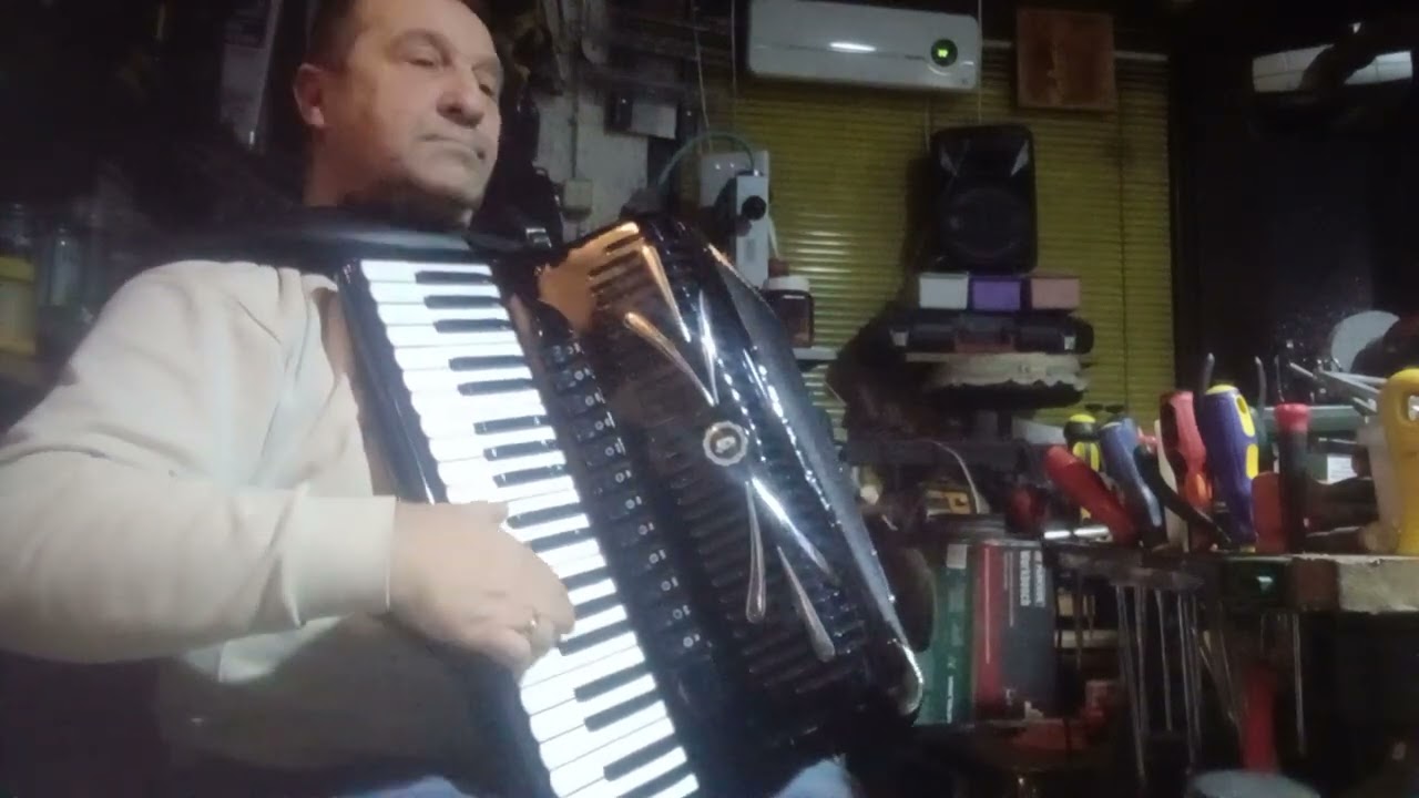 Servis harmonika Dane Loznica +38164 420 5721 