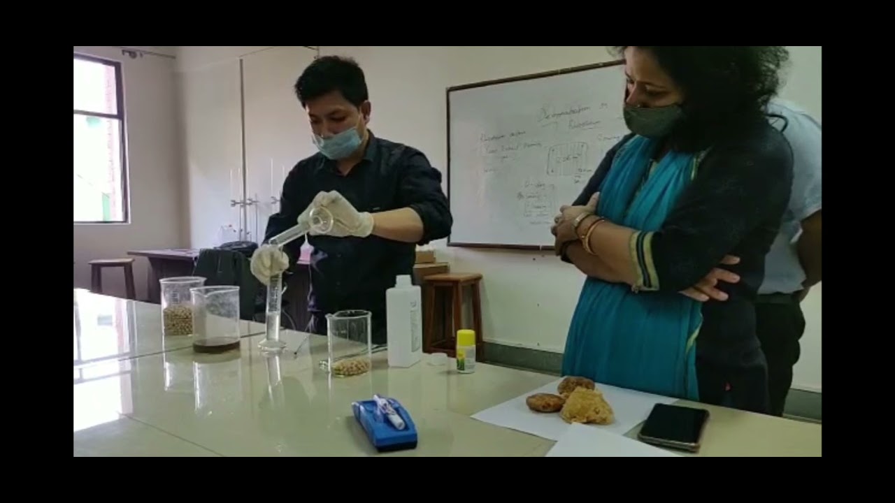 Rhizobium Seed Treatment of Leguminous Crops