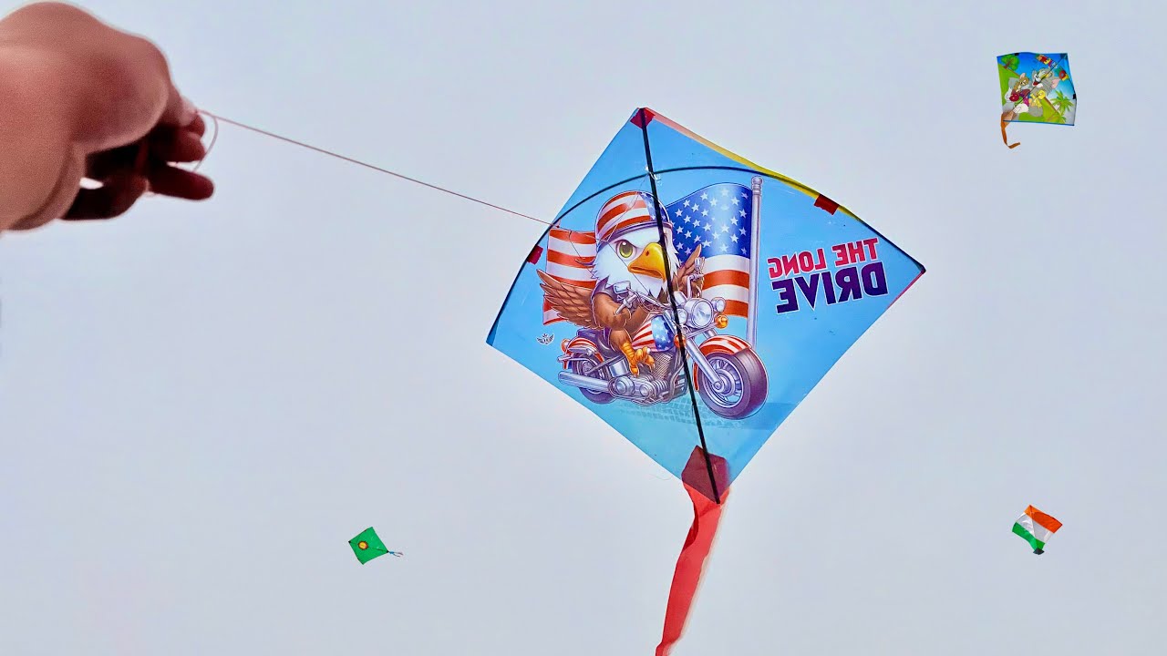 Kite Catching | Panni Ka Patang Loot Liya | Kite Looting On Roof | Kite