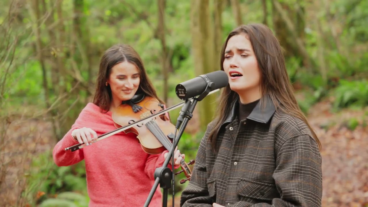Dear Willow - House is not your home (Live Performance)