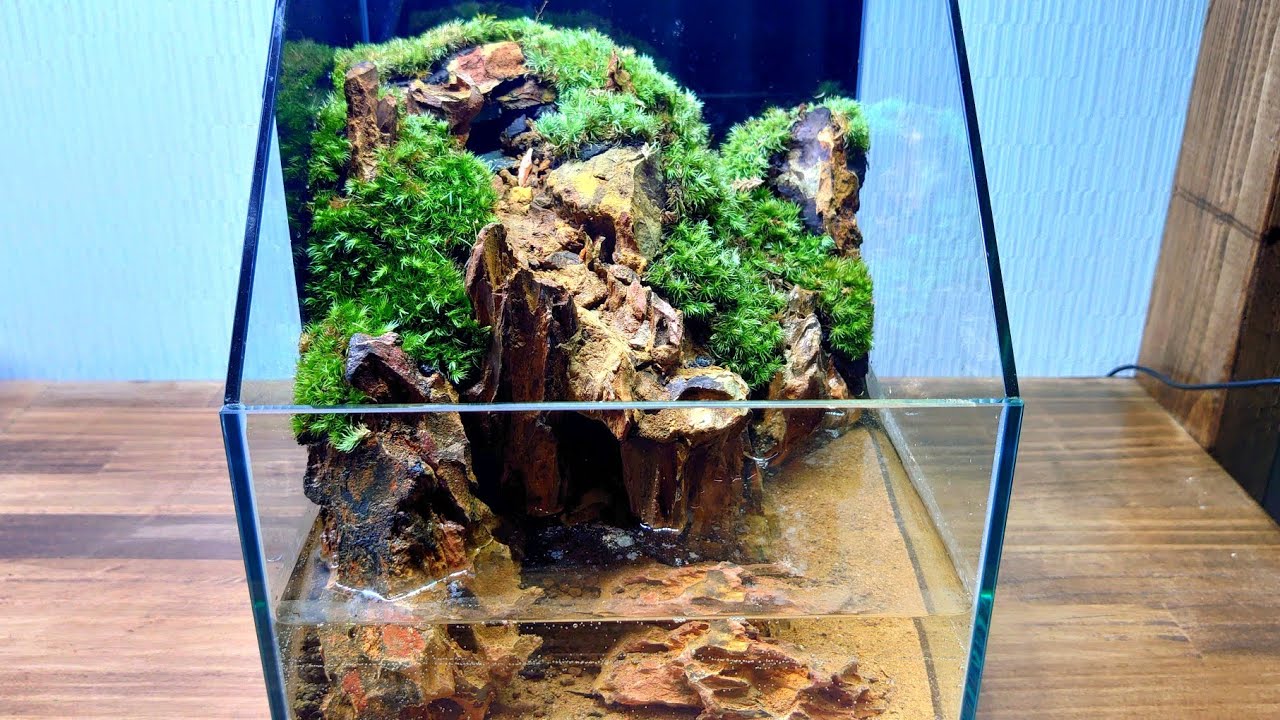 滝の流れるコケリウムを作る【part20】 20センチ水槽  【テラリウム】I want to make an aquarium with a waterfall  気孔石レイアウト