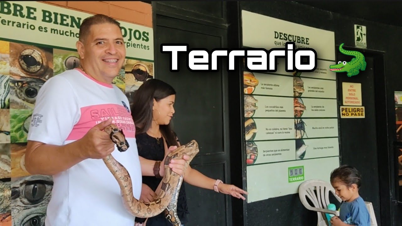 👉 Snake “animals in the park” | Parque del Este, the Leander corvette and the Humboldt Planetarium