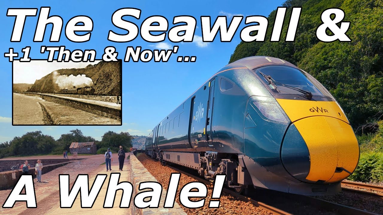 The Seawall & A Whale ! - 12 Trains! - Teignmouth - 09/06/24