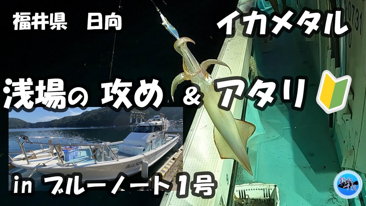 【イカメタル】🔰20m以浅の攻め方，アタリ方✨／ブルーノート１号艇／福井県美浜町日向