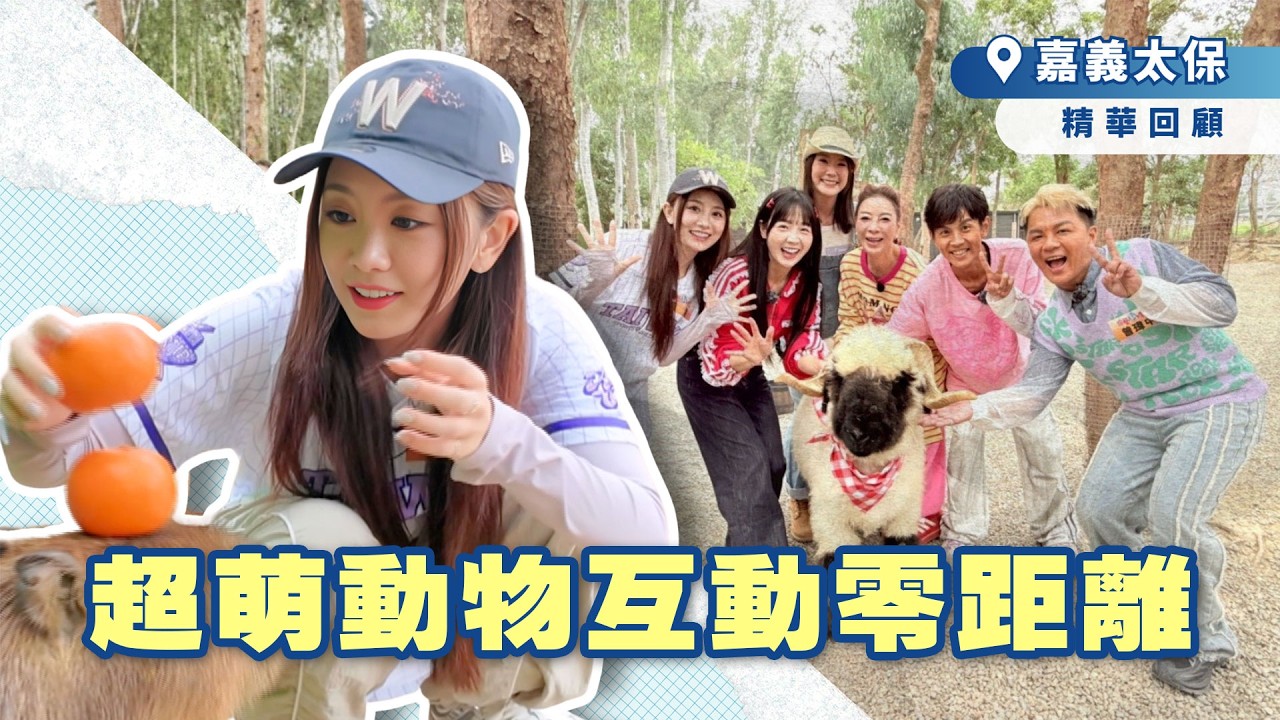 超萌動物互動零距離🐾【綜藝新時代精華】