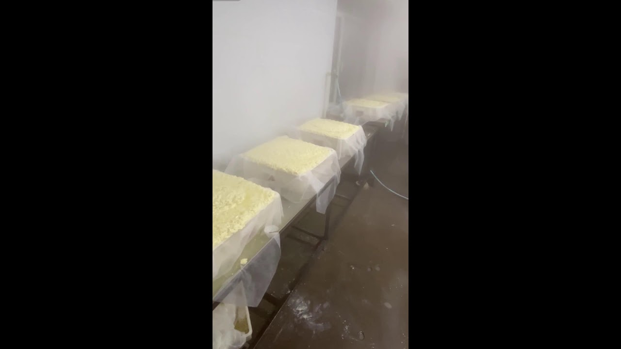 TOFU Making🔴LIVE🔴with Hongjunsheng Tofu Workshop