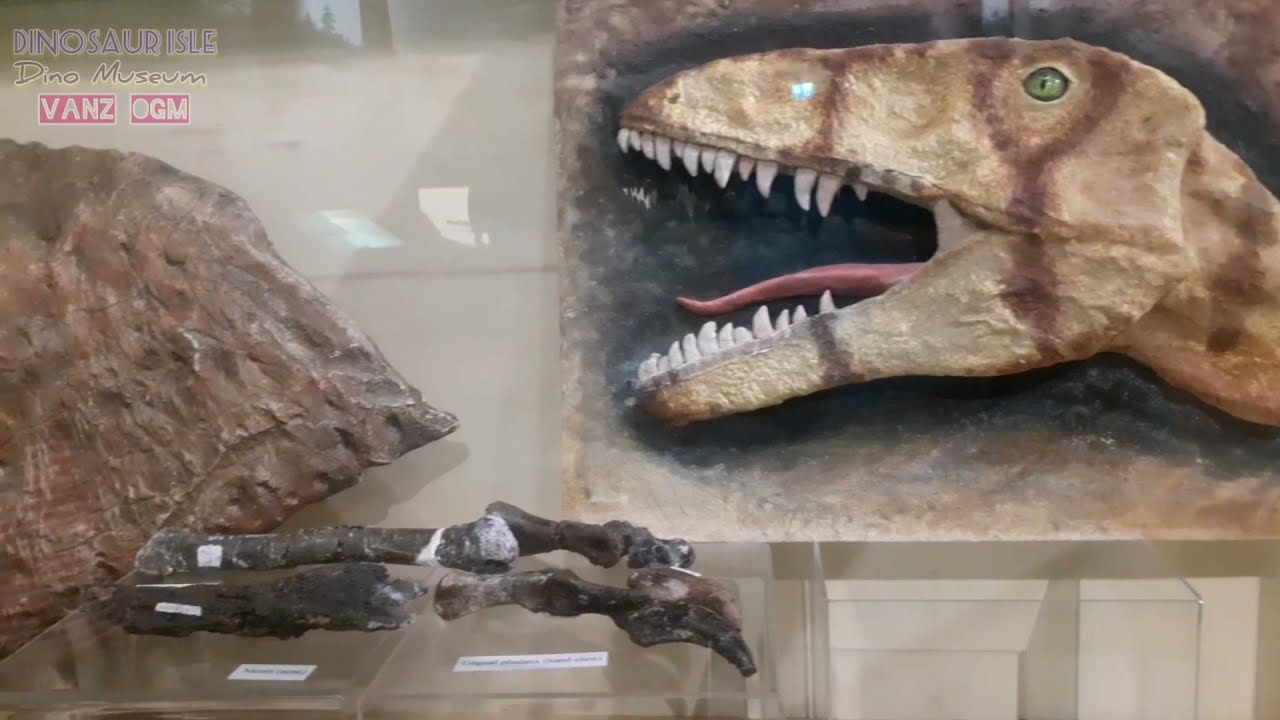 DINOSAUR ISLE | DINOSAUR MUSEUM