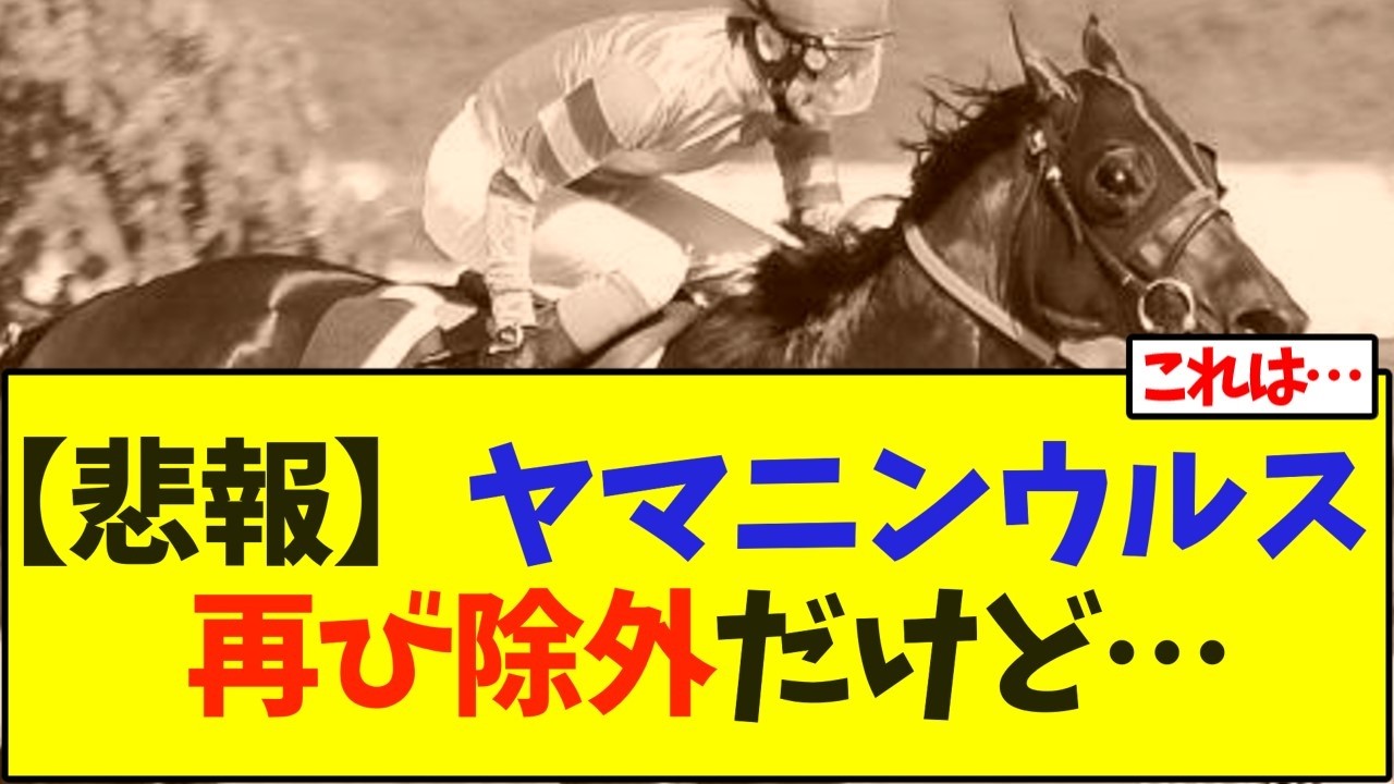 悲報、ヤマニンウルスが再び除外だけど…【競馬】