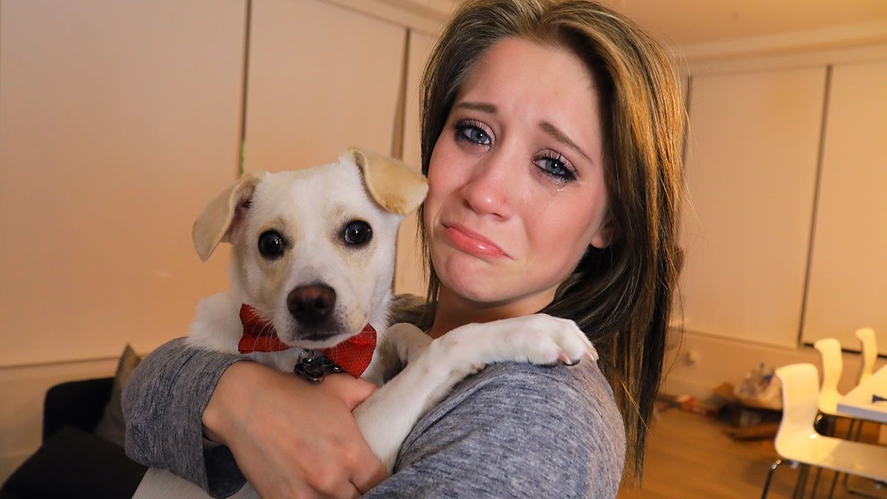 I GOT MY GIRLFRIEND A DOG!